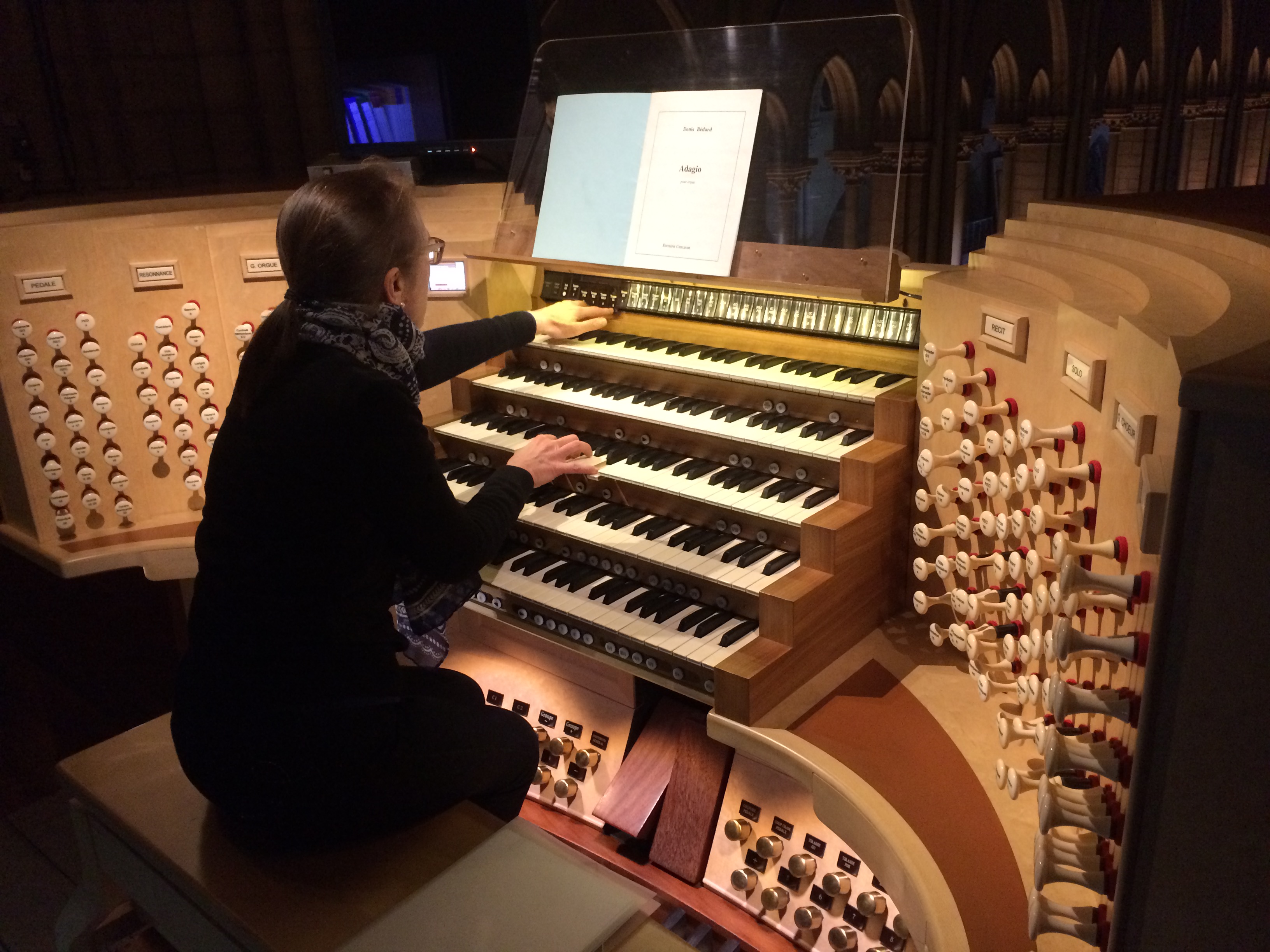 Gallery image for SOPHIE-VERONIQUE CAUCHEFER-CHOPLIN - ORGANIST OF THE GREAT ORGAN OF THE CHURCH OF SAINT SULPICE IN PARIS WILL PERFORM AT THE CATHEDRAL OF ST. STORIES IN JUNE 2026.