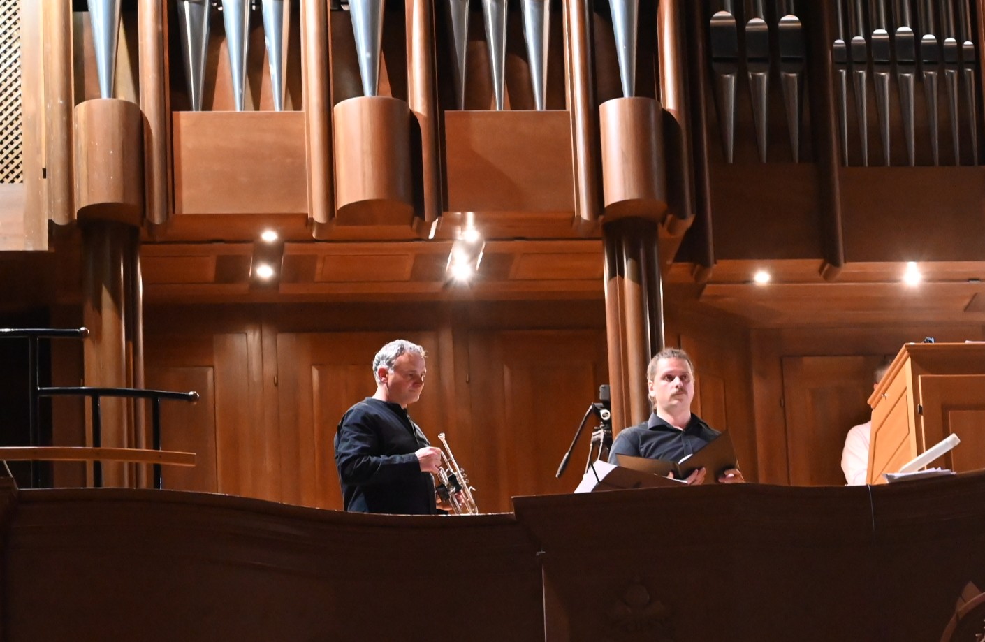 CAPELLA SANCTAE ANASTASIAE - OTVORENJE 3. MEĐUNARODNOG FESTIVALA "ORGULJE SV. STOŠIJE", 27. 5. 2026. Image