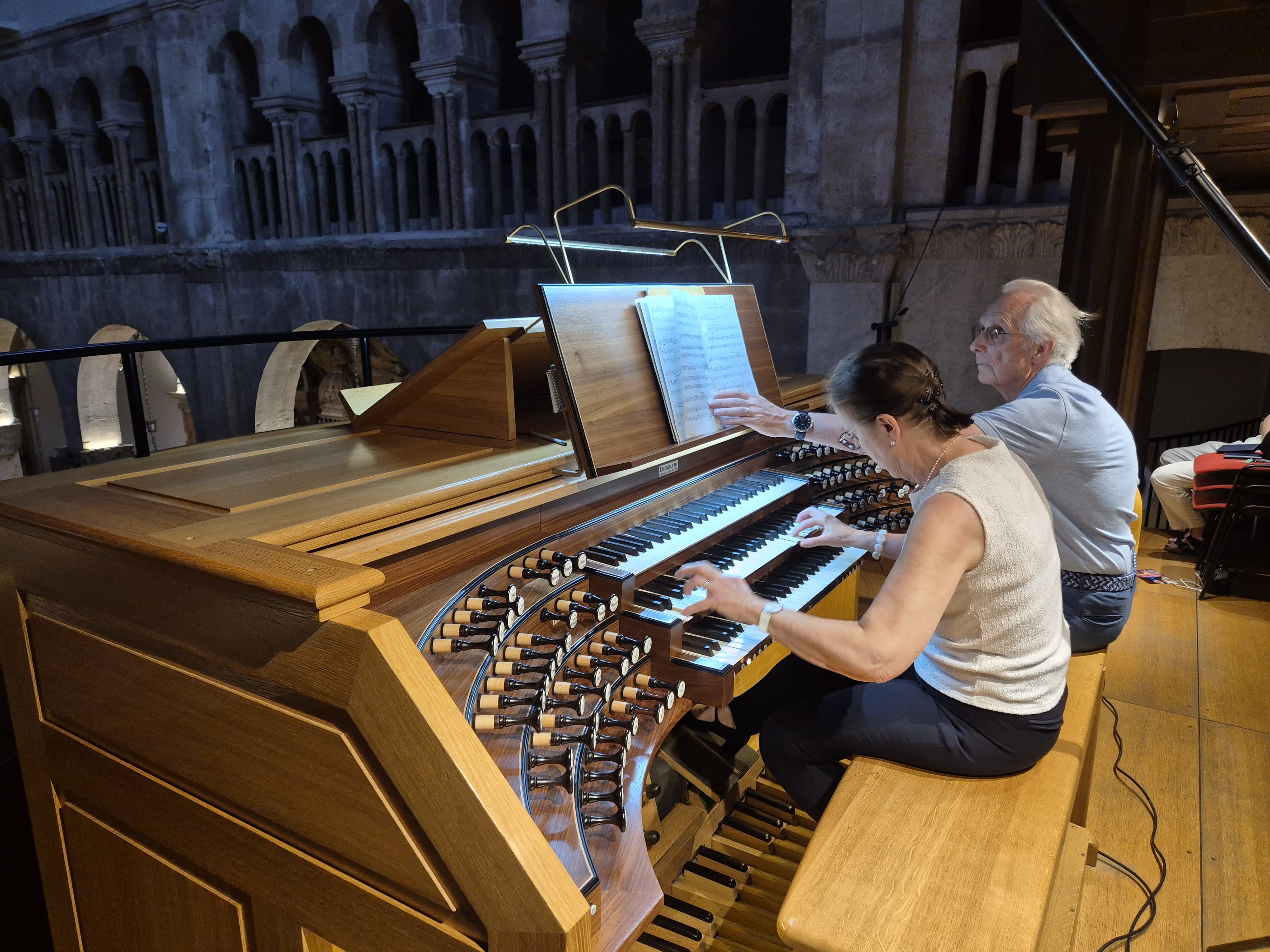 SOPHIE-VÉRONIQUE CAUCHEFER-CHOPLIN – SOLISTIČKO ORGULJAŠKIKONCERT 30. 6. 2026. Image