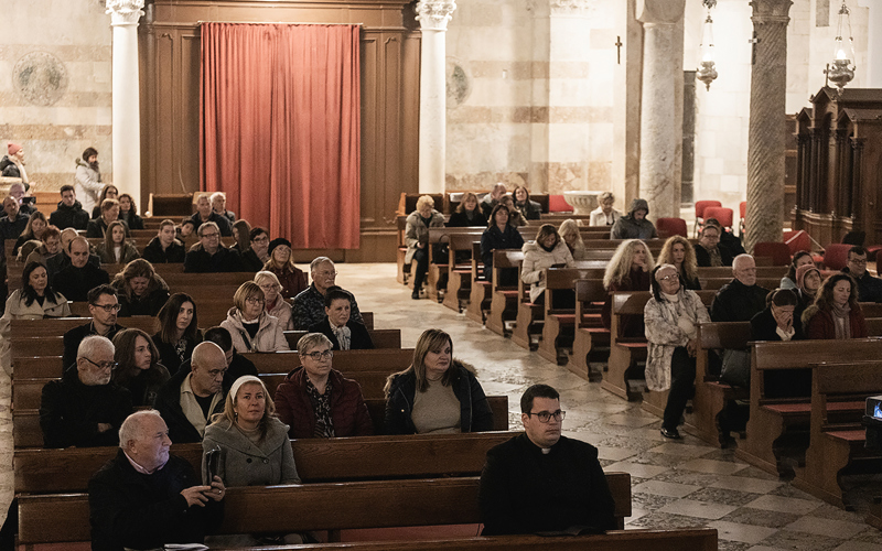 Gallery image for PAVAO MAŠIĆ - ORGULJAŠKI KONCERT U KATEDRALI SV. STOŠIJE 23. 11. 2024.